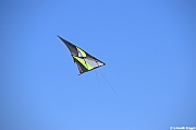 EUROCUP STACK 2011 CERVIA00107